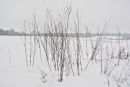 Snow I